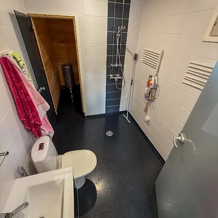 Arctic Riverside House منزل للإقامة روفانييمي